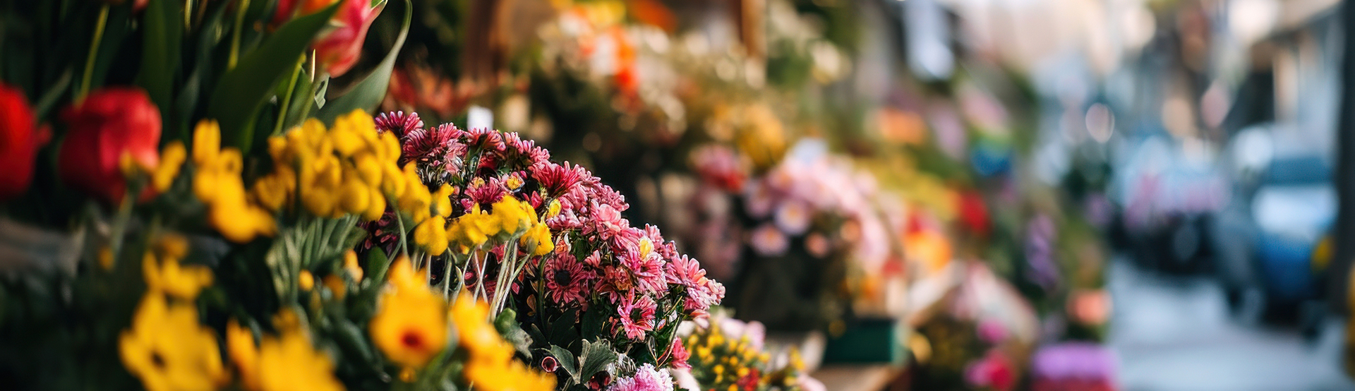 Grossiste Fleurs à Grasse : Belgrano Fleurs